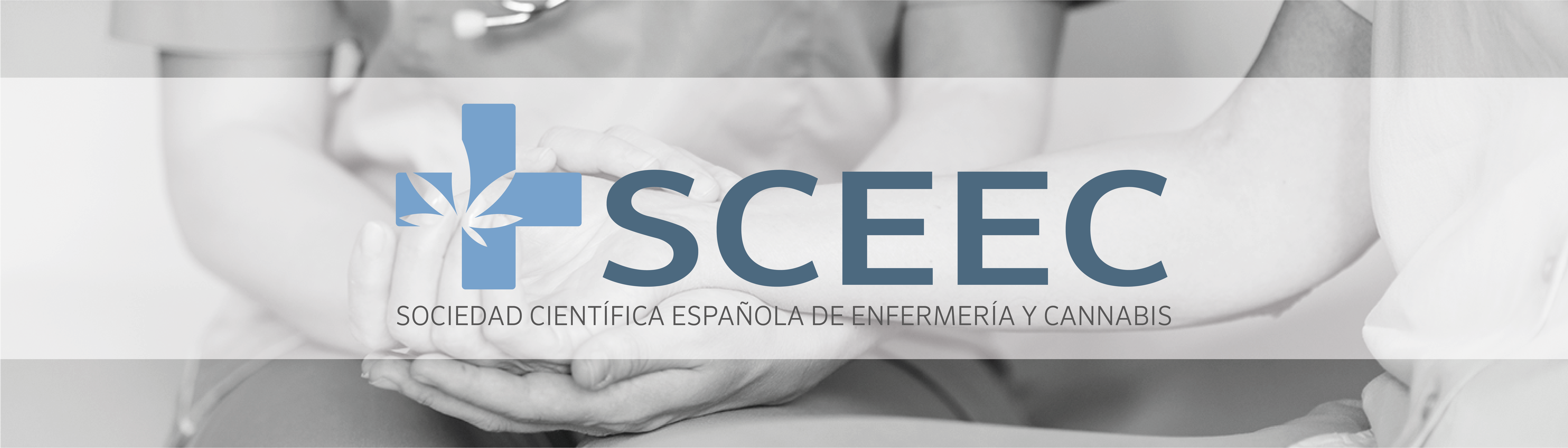 (c) Sceec.es